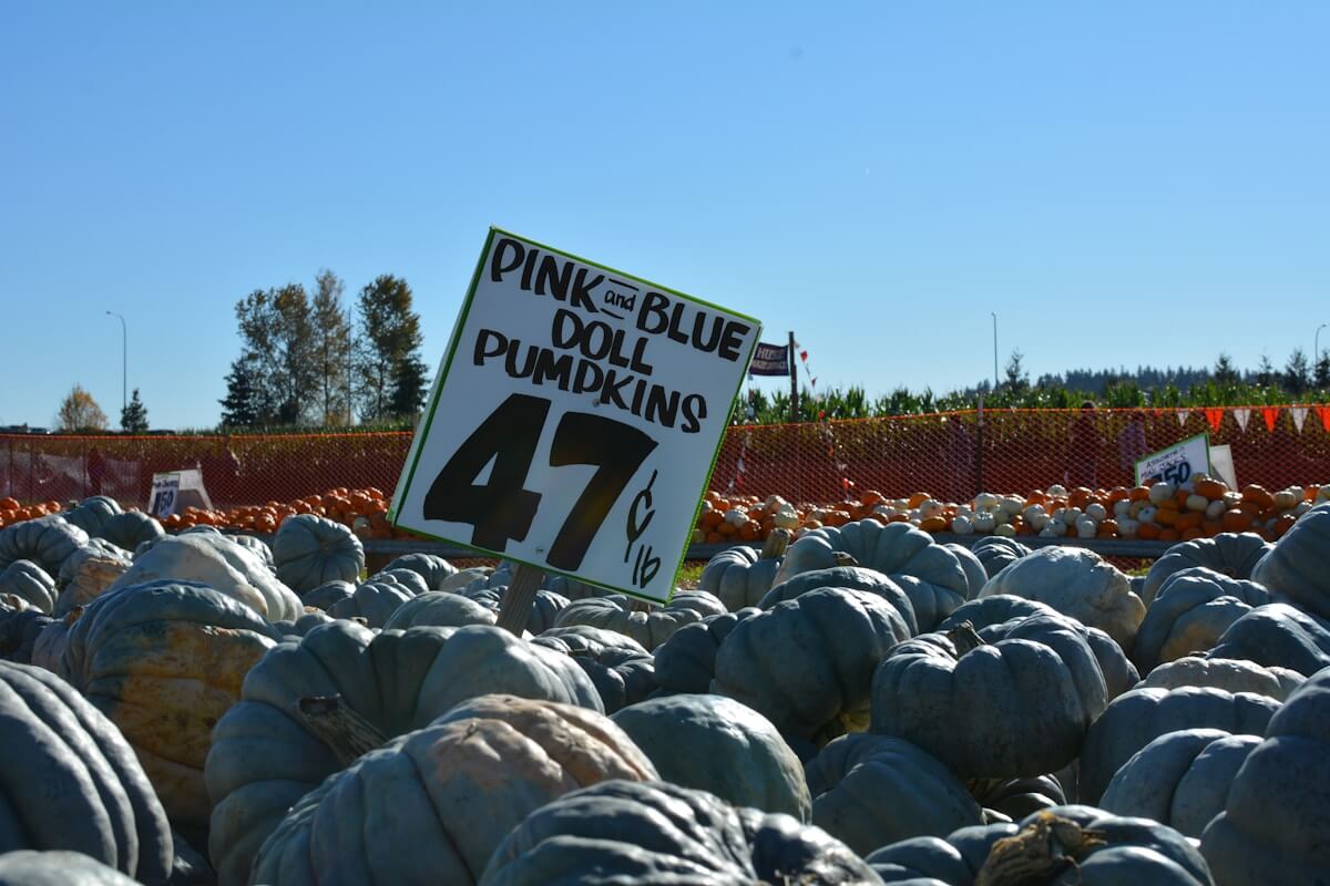 The Path to 47 Days: SSL Certificate Lifetimes Are Shrinking